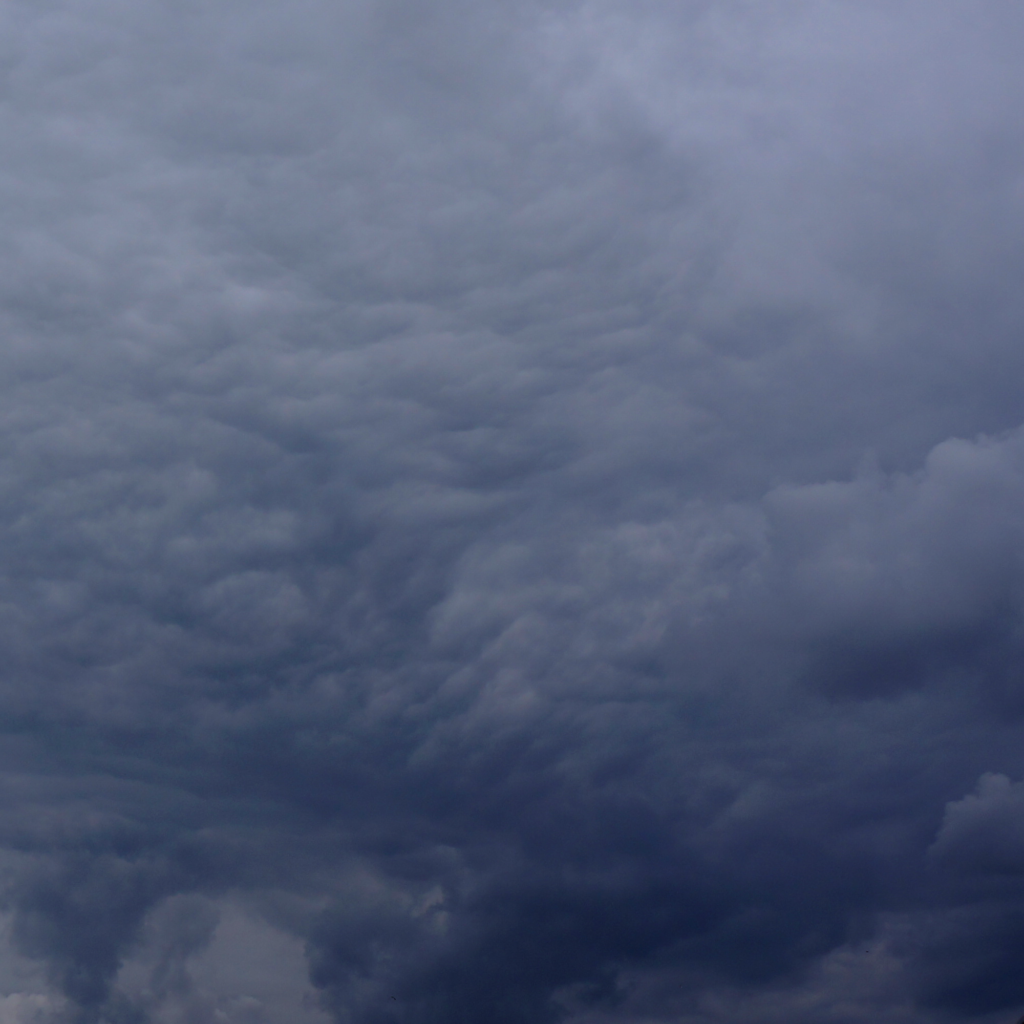 DSC09757_square_02
